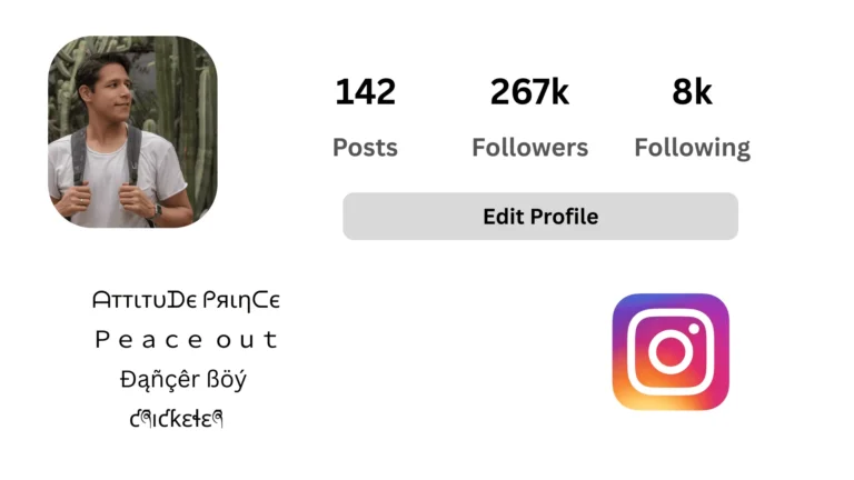 Instagram bio image 3