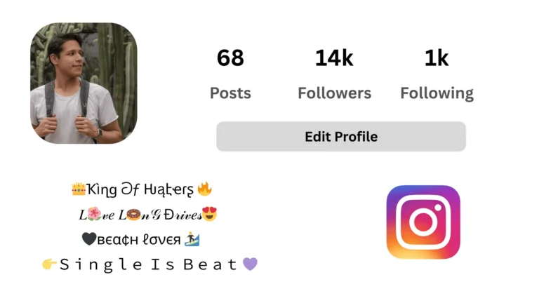 Instagram VIP Bio Image